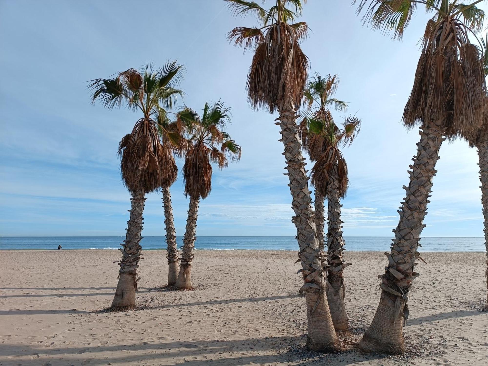 Playa Cannet 20 Km Valencia Piscina Tennis Canet d'En Berenguer Dış mekan fotoğraf