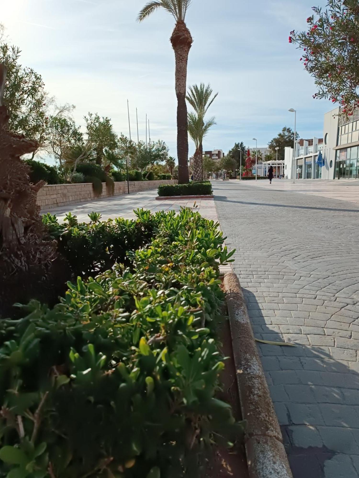 Playa Cannet 20 Km Valencia Piscina Tennis Canet d'En Berenguer Dış mekan fotoğraf